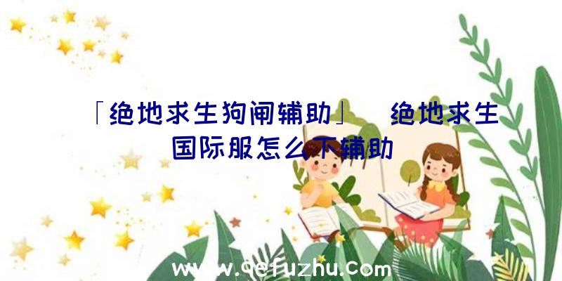 「绝地求生狗闸辅助」|绝地求生国际服怎么下辅助